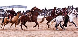 Buzkashi