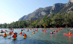 Canoa Olimpica - Fondo