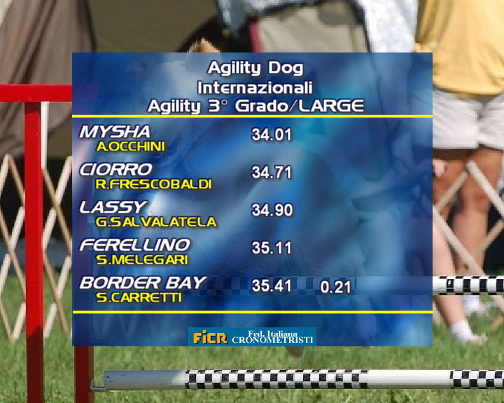 Agility DOG