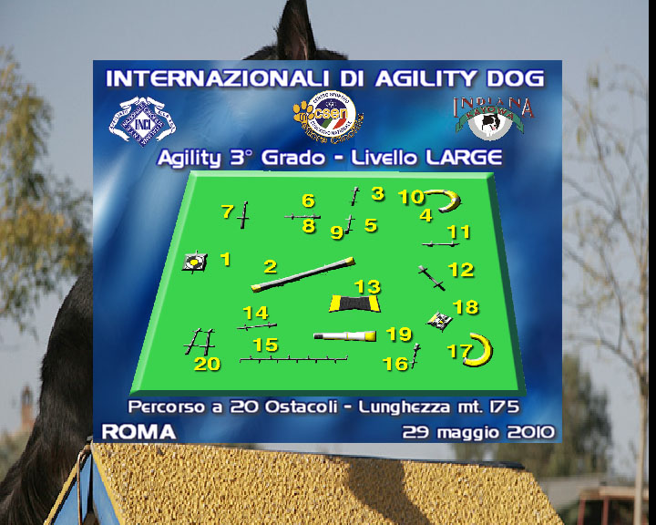 Agility DOG