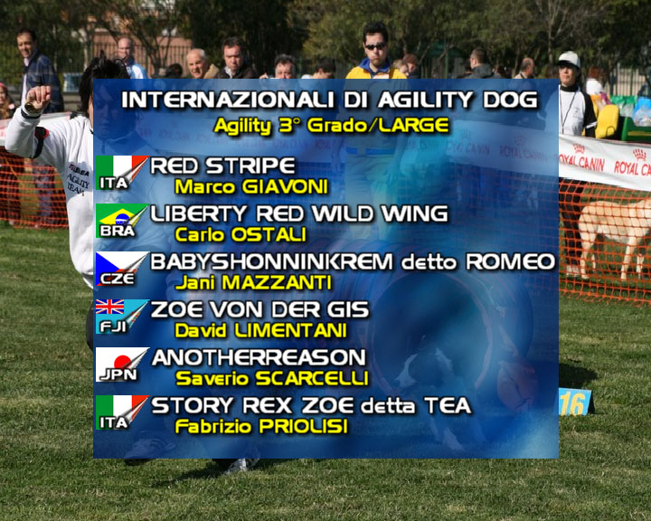 Agility DOG