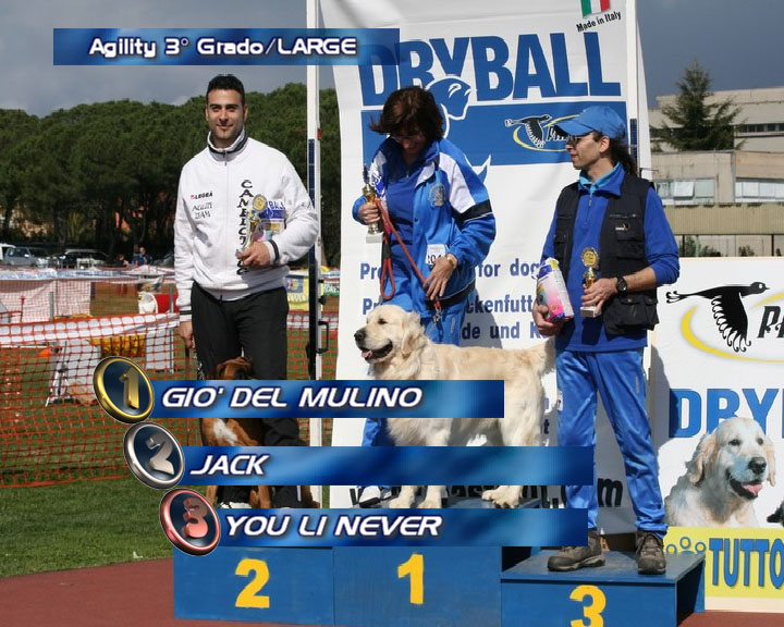 Agility DOG