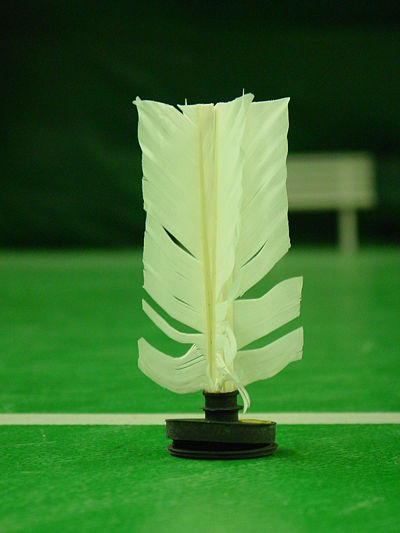 Jianzi