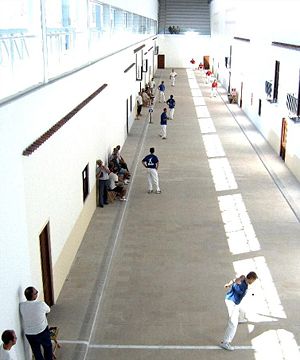 Llargfues