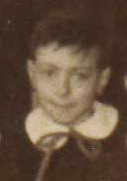 Omerino