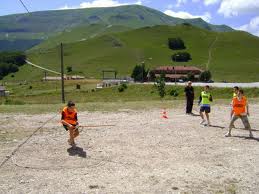 Roverino