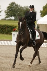 Dressage